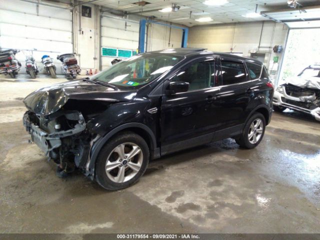 1FMCU9G96FUA81447  ford escape 2014 IMG 1