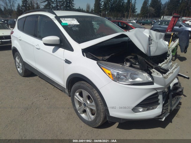 1FMCU9G98EUE53997  ford escape 2014 IMG 0