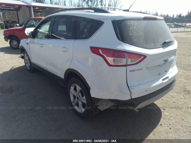 1FMCU9G98EUE53997  ford escape 2014 IMG 2