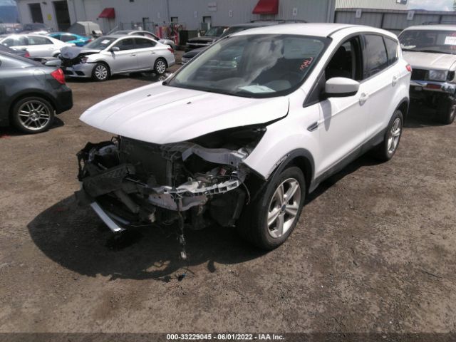 1FMCU9GX9FUB12687  ford escape 2015 IMG 1