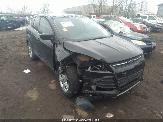 1FMCU0G76FUC61117  ford escape 2015 IMG 5