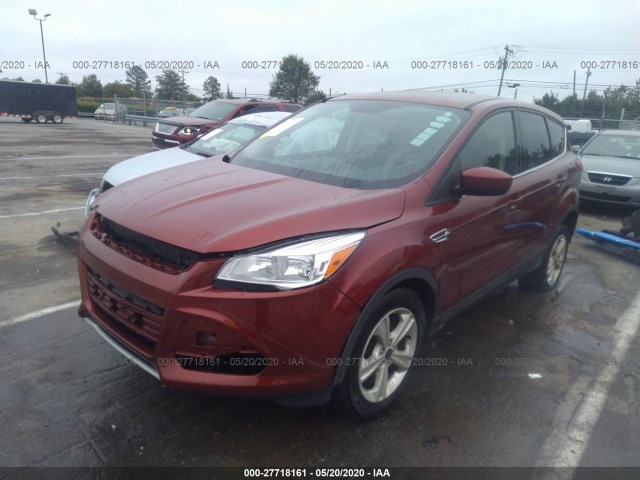 1FMCU0G72GUC81446  ford escape 2016 IMG 1