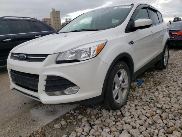 1FMCU0GX0EUA50297  ford escape se 2014 IMG 1