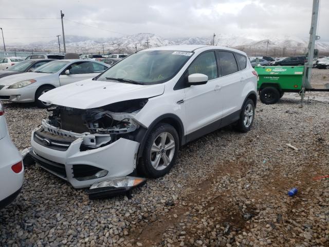 1FMCU9G94EUC67521  ford escape tit 2014 IMG 1