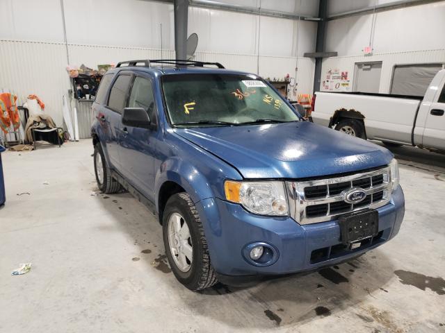 1FMCU9DG1AKB91359  ford escape xlt 2010 IMG 0