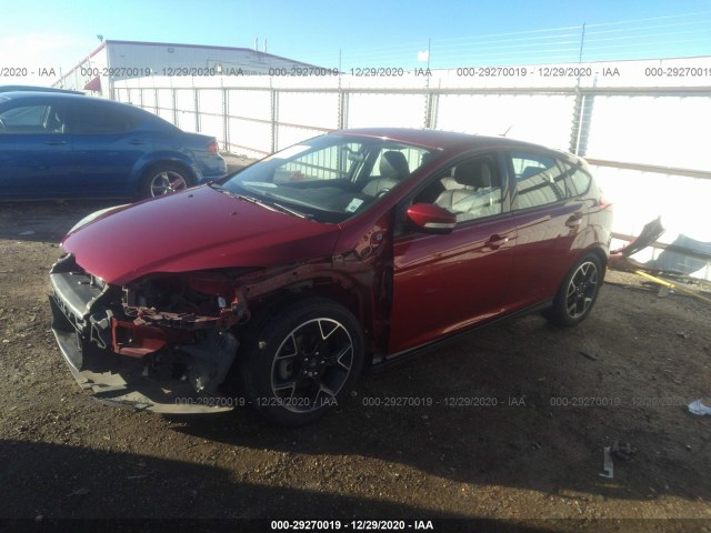 1FADP3K23DL331145  ford focus 2013 IMG 1