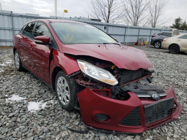 1FADP3F20EL384591  ford focus 2014 IMG 0