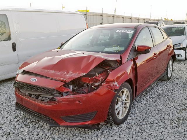 1FADP3F21FL365579  ford focus 2015 IMG 1