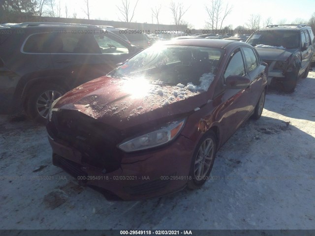 1FADP3F24GL343366  ford focus 2016 IMG 1