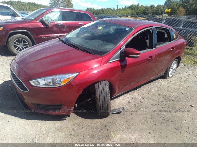 1FADP3F24GL370874  ford focus 2016 IMG 5