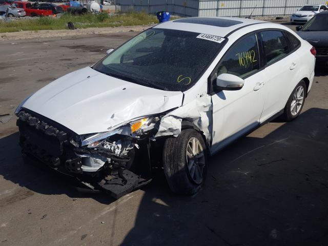 1FADP3F21FL206240  ford focus se 2015 IMG 1