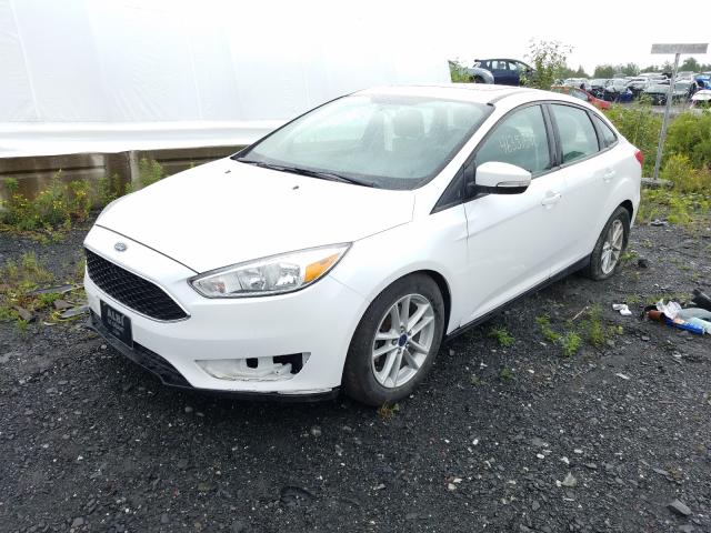 1FADP3F2XFL245313  ford focus se 2015 IMG 1