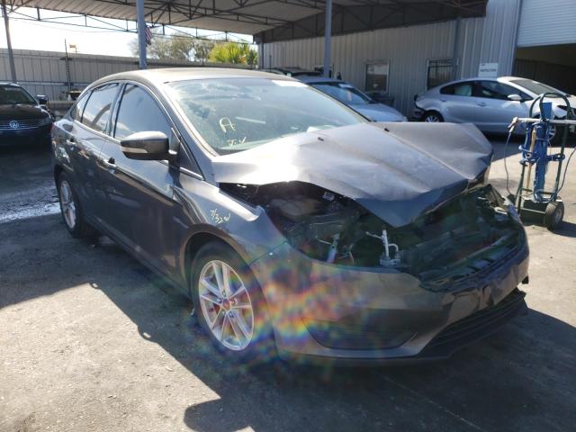 1FADP3F21GL242169  ford focus se 2016 IMG 0