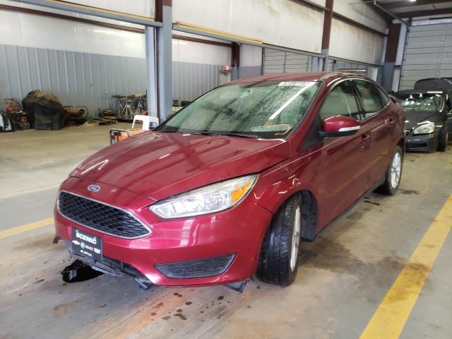 1FADP3F24GL355548  ford focus se 2016 IMG 1