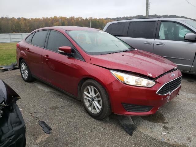 1FADP3F26GL382752  ford focus se 2016 IMG 0