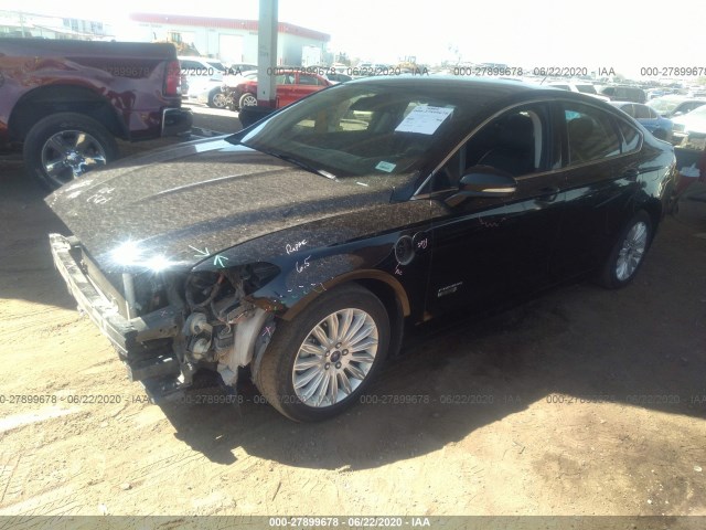 3FA6P0PU1GR384644  ford  2016 IMG 1