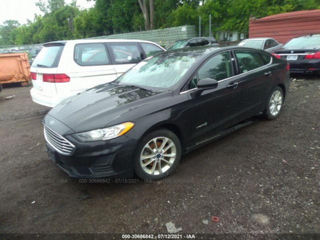 3FA6P0LU7KR130094  ford  2019 IMG 1