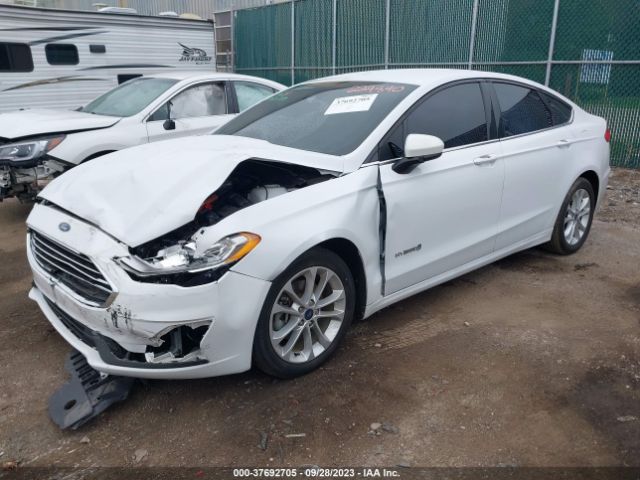 3FA6P0LU4KR224840  ford  2019 IMG 1