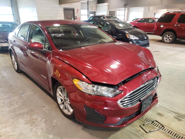 3FA6P0LU4KR257076  ford  2019 IMG 0