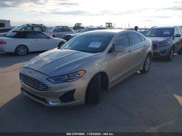 3FA6P0MU6KR273276  ford  2019 IMG 1