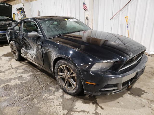 1ZVBP8AM4D5276501  ford mustang 2013 IMG 0