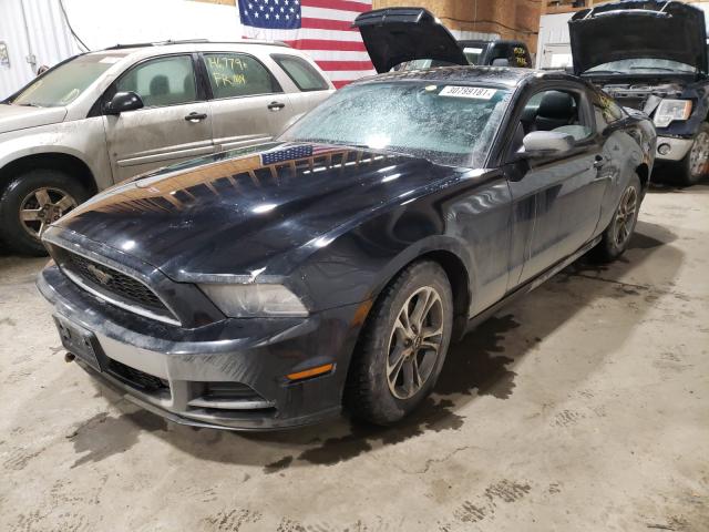 1ZVBP8AM4D5276501  ford mustang 2013 IMG 1