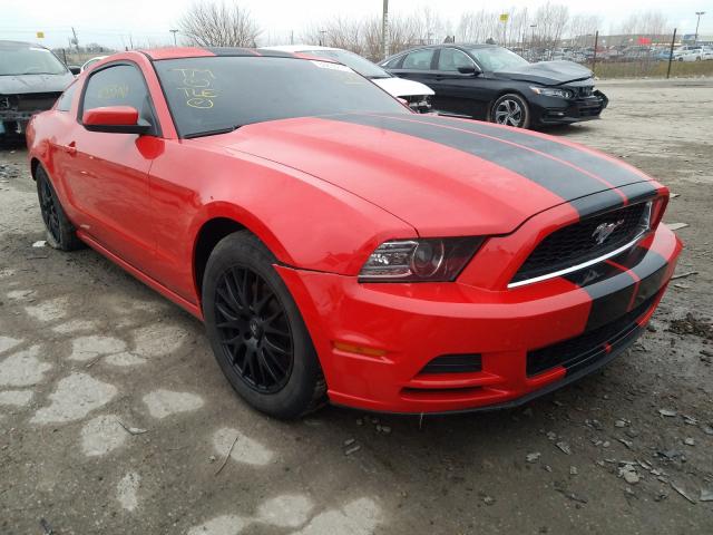 1ZVBP8AM4E5310549  ford mustang 2014 IMG 0