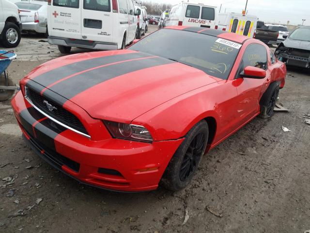 1ZVBP8AM4E5310549  ford mustang 2014 IMG 1