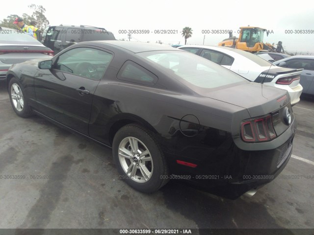 1ZVBP8AM5E5327599  ford mustang 2014 IMG 2