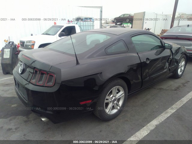 1ZVBP8AM5E5327599  ford mustang 2014 IMG 3