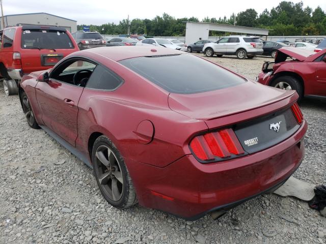 1FA6P8TH7H5282406  ford mustang 2017 IMG 2