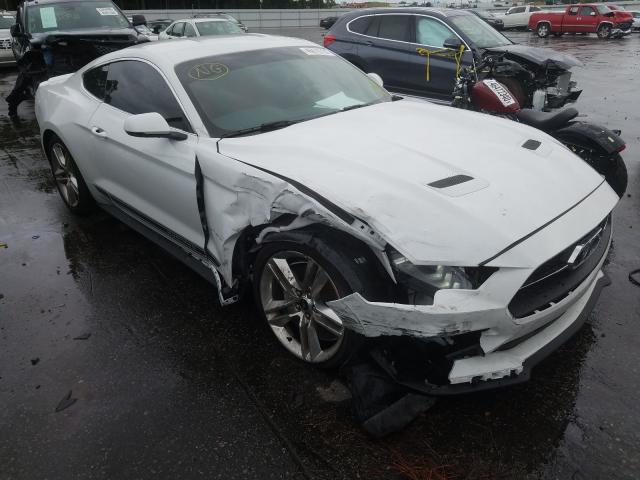 1FA6P8TH6K5204576  ford mustang 2019 IMG 0