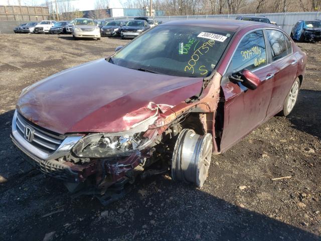 1HGCR2F54DA179226  honda accord spo 2013 IMG 1