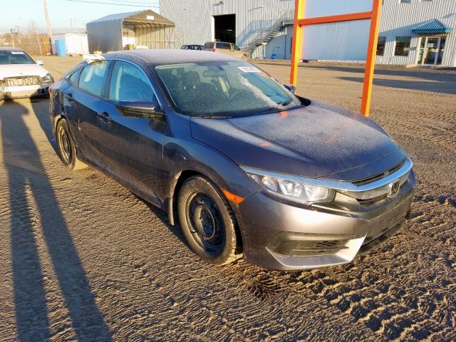 2HGFC2F53HH020705  honda civic lx 2017 IMG 0