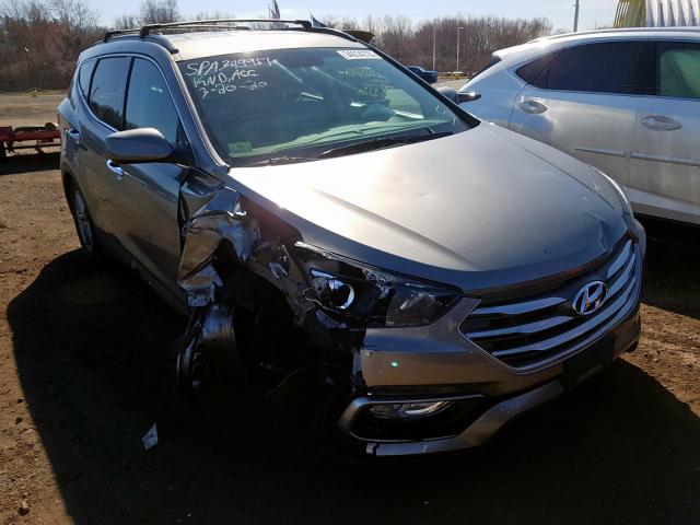 5NMZUDLB0HH015349  hyundai  2017 IMG 0