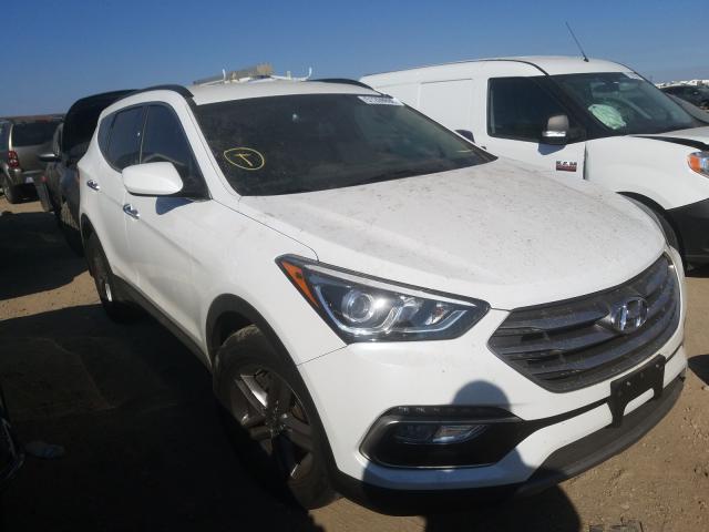 5NMZUDLB8HH009072  hyundai  2017 IMG 0