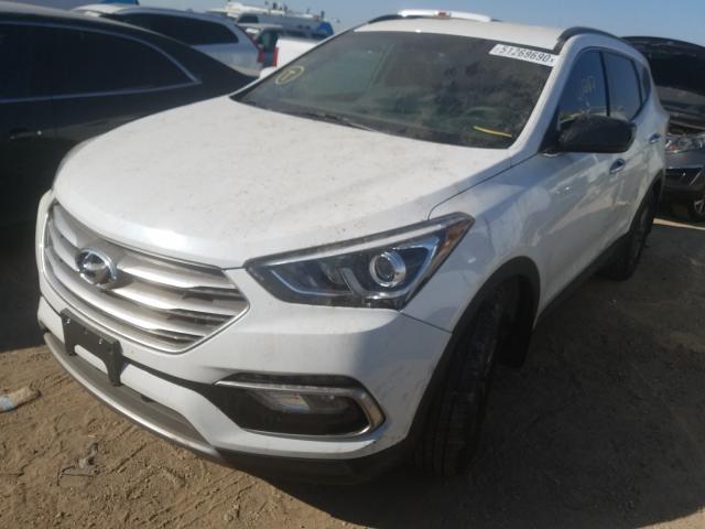 5NMZUDLB8HH009072  hyundai  2017 IMG 1