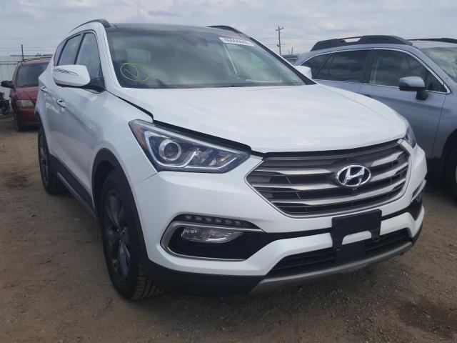 5XYZWDLA1HG479505  hyundai  2017 IMG 0