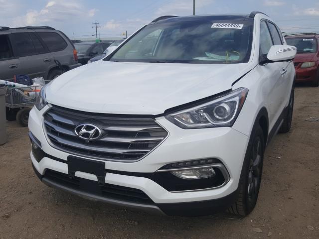 5XYZWDLA1HG479505  hyundai  2017 IMG 1