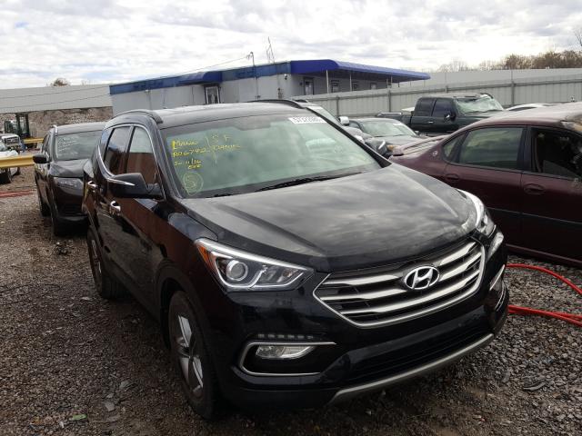 5NMZU3LB9HH048425  hyundai  2017 IMG 0