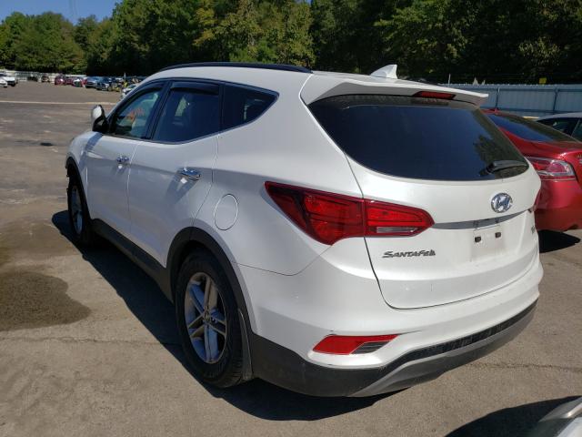 5NMZUDLB9HH050892  hyundai  2017 IMG 2