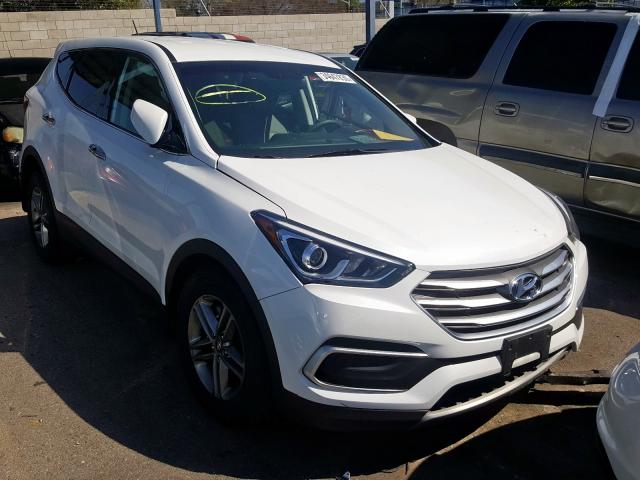 5NMZT3LB3JH095135  hyundai  2018 IMG 0