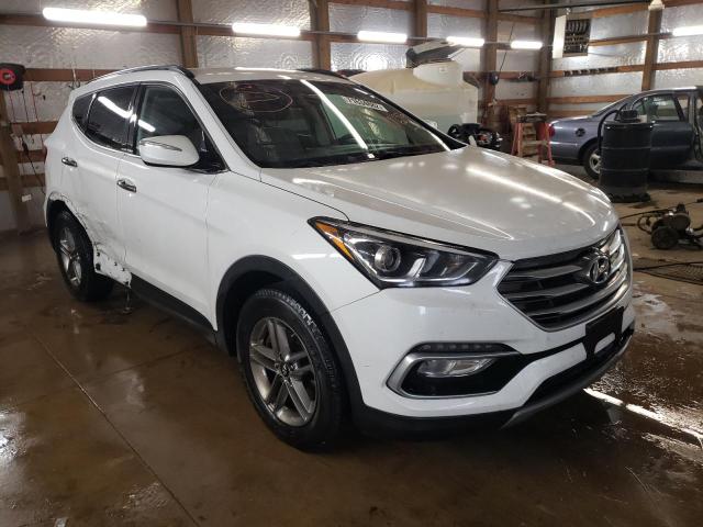 5NMZU3LB7JH101659  hyundai  2018 IMG 3