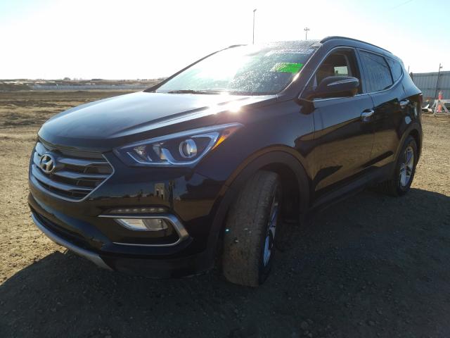 5XYZUDLB3HG415593  hyundai santa fe s 2017 IMG 1