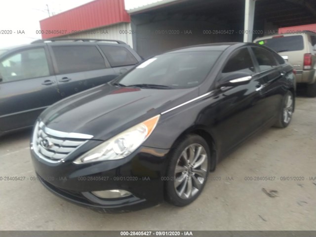 5NPEC4ABXDH515276  hyundai sonata 2013 IMG 1