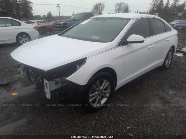 5NPE24AF2FH036407  hyundai sonata 2015 IMG 1