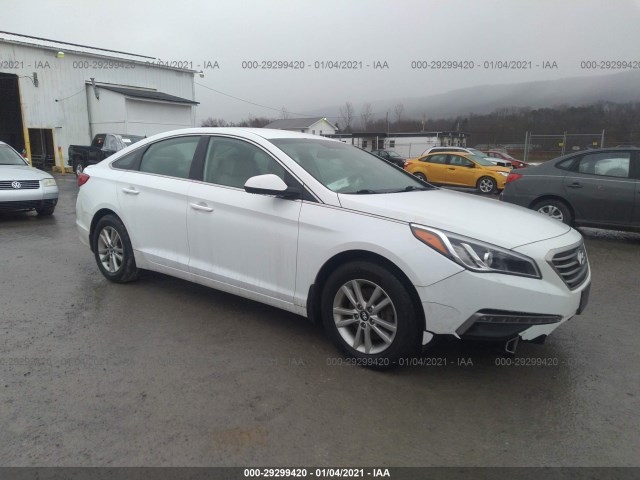 5NPE24AF6FH147414  hyundai sonata 2015 IMG 0