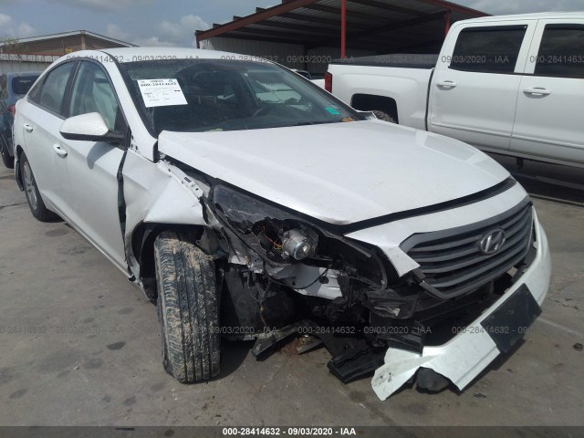 5NPE24AF1GH355671  hyundai sonata 2016 IMG 5