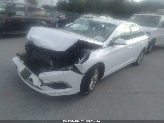 5NPE24AF1GH368064  hyundai sonata 2016 IMG 1