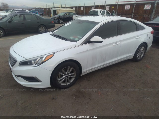 5NPE24AF2GH320878  hyundai sonata 2016 IMG 1